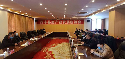 鹿产业：面临机遇，更多考验